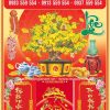 Bìa Lịch Đại 40x60 Mai Vàng